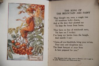 Flower fairies of the Autumn, children`s book. Fairys.