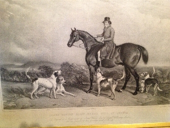 IRISH HUNTSMAN ON HIS  HORSE, ENGRAVING