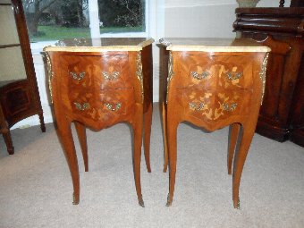 Pair of Louis XVI Kingwood Bedside Commodes