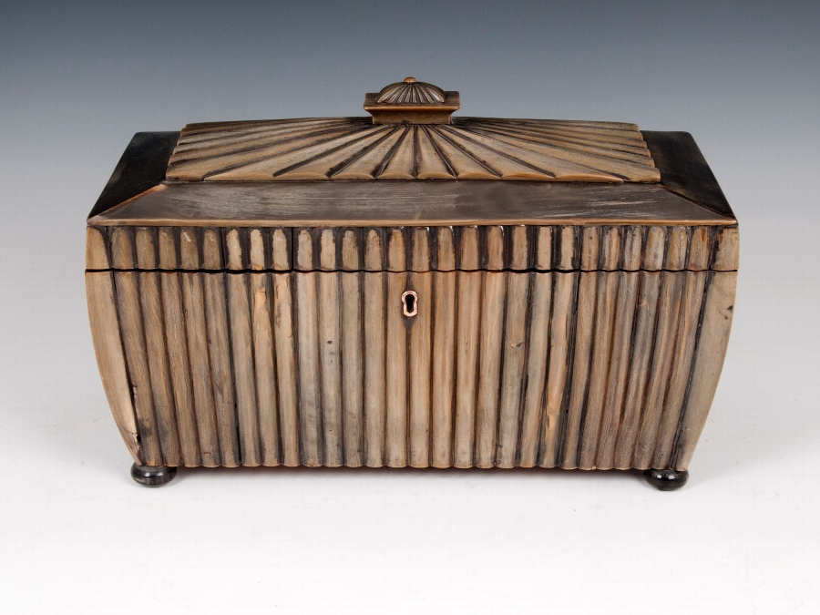 ANGLO INDIAN HORN TEA CADDY