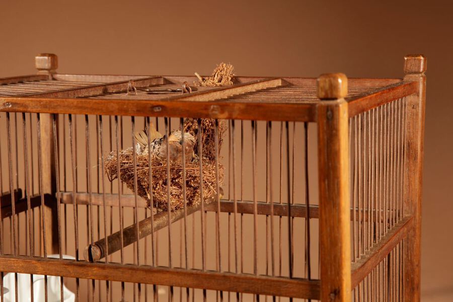 Antique Breading Wooden Birdcage