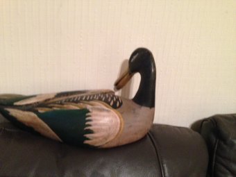 A  20th century carved 33cm by 10cm wooden painted decoy duck in excellent condition.
