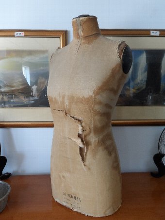 Parisian mannequin by Stockman CODE MIS400