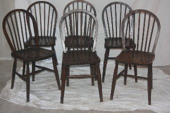 set of 4+2 saloon chairs