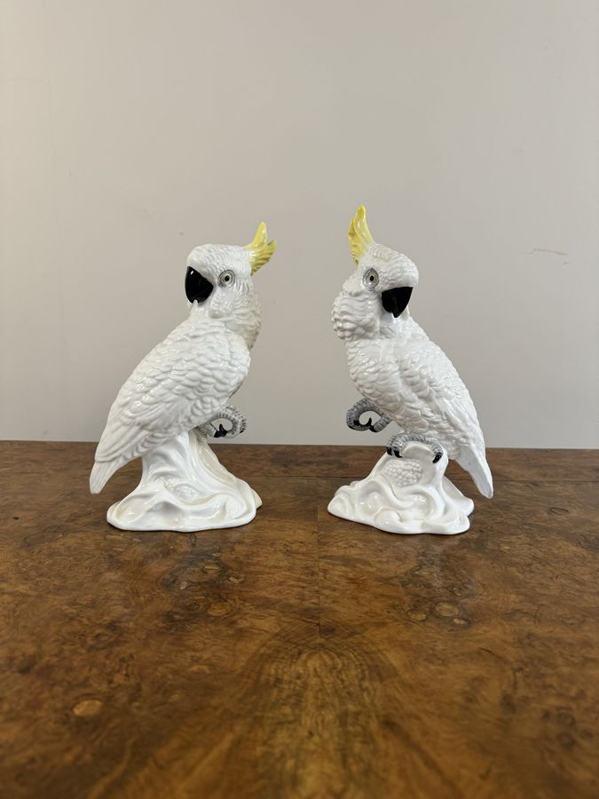 Elegant pair of mid century cockatoos by T.J Jones