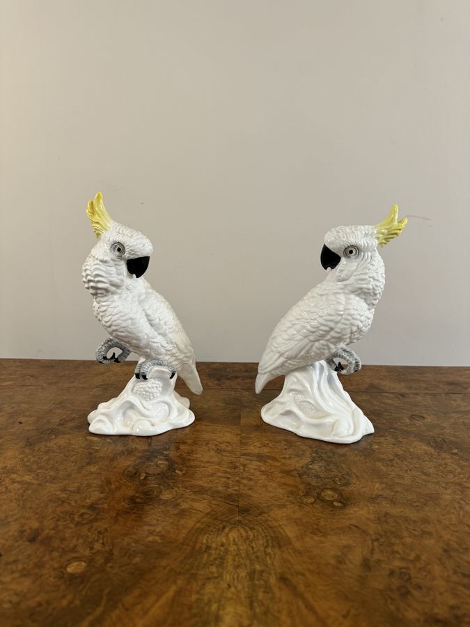 Antique Elegant pair of mid century cockatoos by T.J Jones 