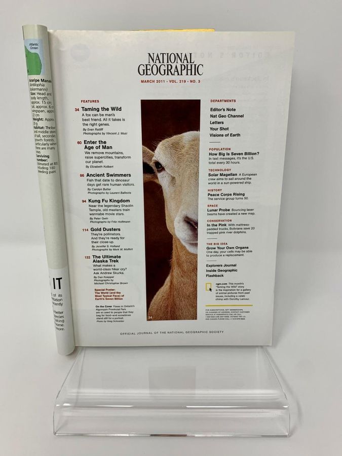 Antique National Geographic Magazine, March 2011, Volume 219, Number 3, Free Poster