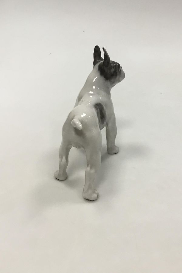 Antique Royal Copenhagen figurine of Boston terrier No 1457