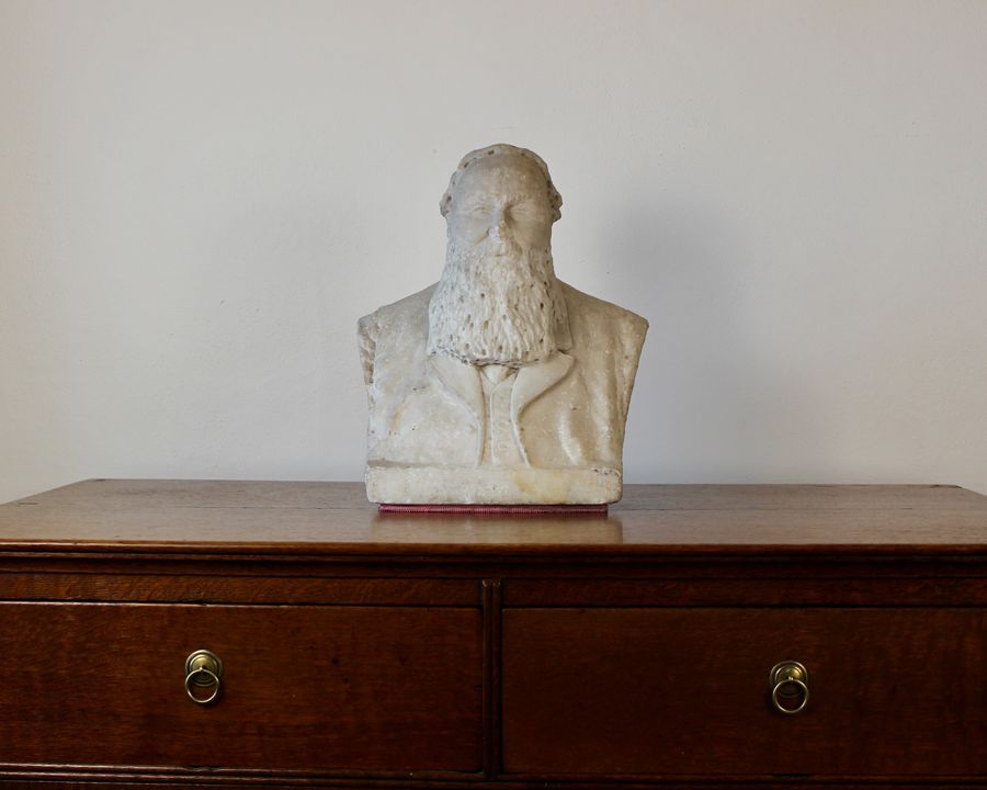 Antique Bust of a Bearded Gentleman