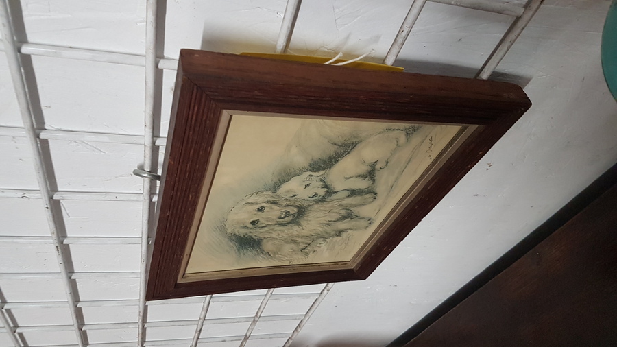 Antique Small Dog Picture 