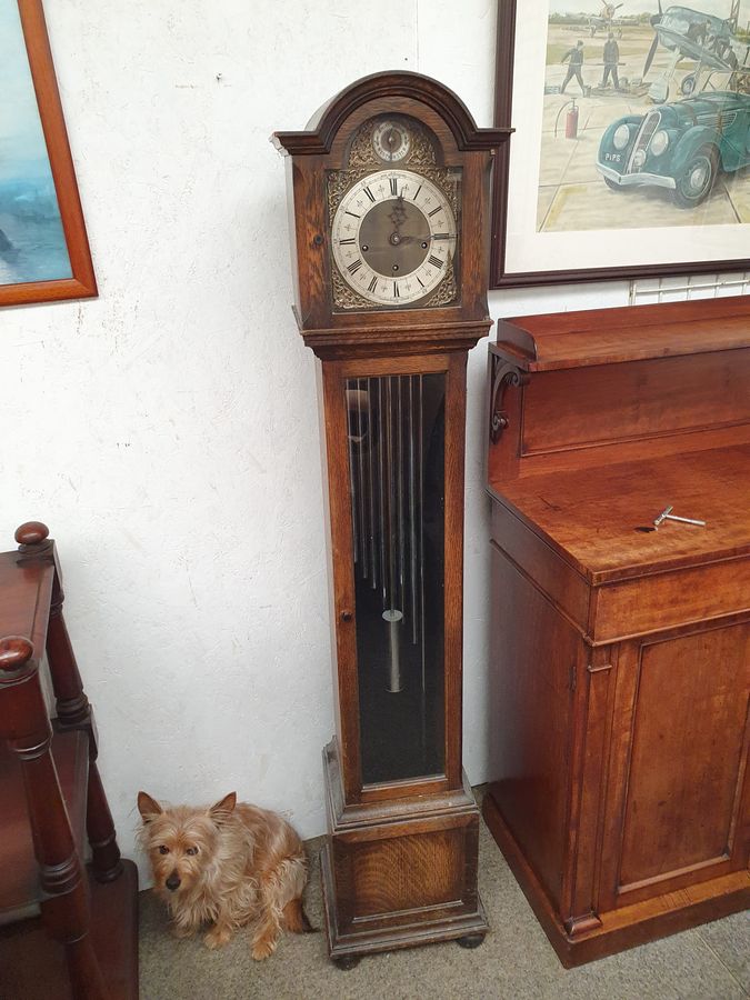 Antique Edwardian Oak Grandmother Westminster Chiming Clock