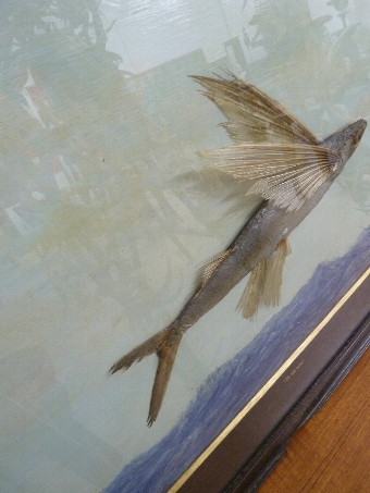Antique Flying Fish