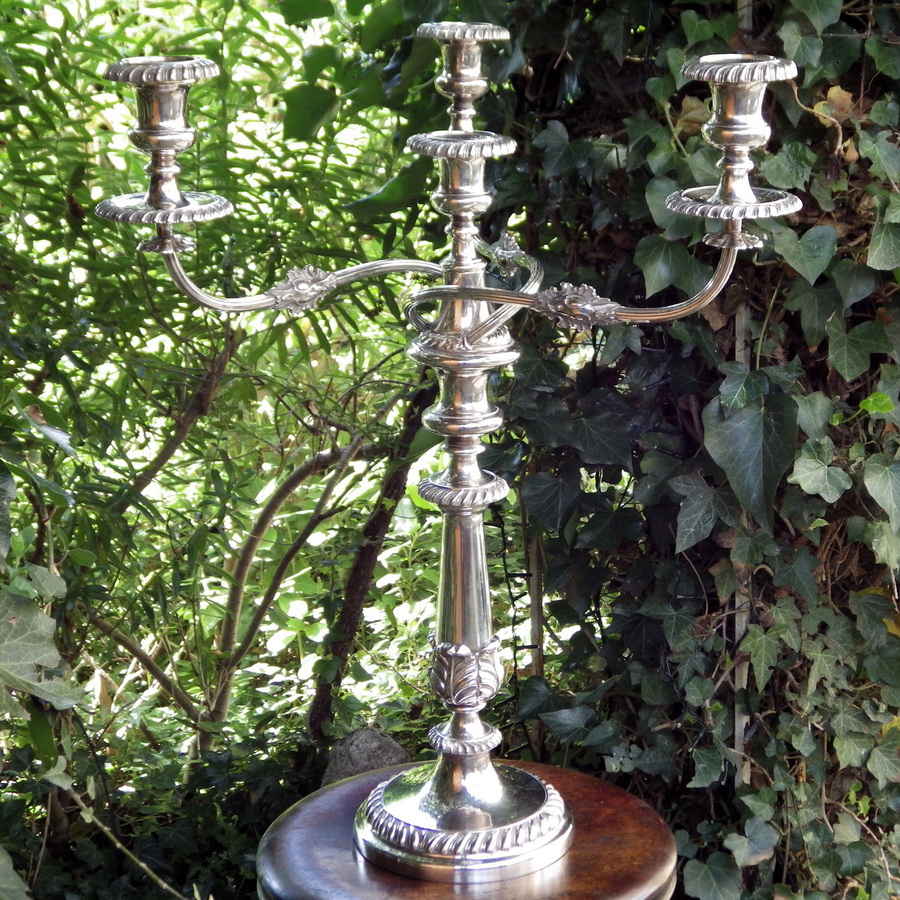 Antique ANTIQUE 19th Century Fine Quality SILVER PLATED CANDELABRA