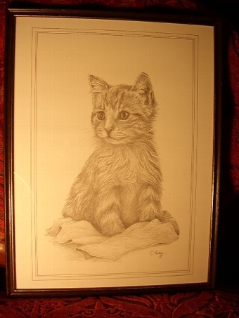PRINT OF A CAT FROM ORIGINAL PENCIL DRAWING BY C.VARLEY 13 INCHES X 17 INCHES