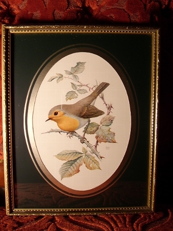 QUALITY PRINT OF ROBIN BIRD ON LEAFY BRANCH & MARKED 