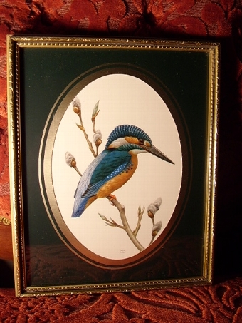 QUALITY PRINT OF KINGFISHER ON BUDDING BRANCH & MARKED 