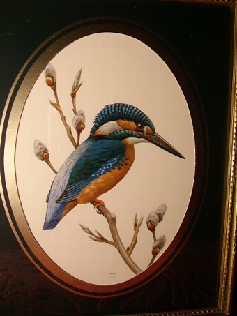 Antique QUALITY PRINT OF KINGFISHER ON BUDDING BRANCH & MARKED 