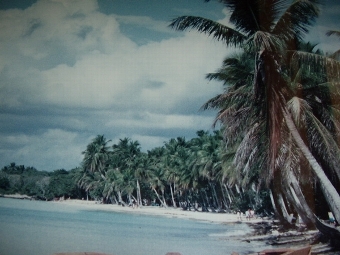 Antique MALAYSIAN PRINT OF BEACH SCENE 26 X 20.5 INCHES