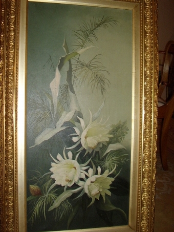 Antique QUALITY PAIR OF OIL ON CANVAS BOTANICAL STUDIES OF  FLOWERS BLOSSOMING & BLOOMS IN BEAUTIFULLY DECORATIVE ORIGINAL GILT & PLASTER FRAMES 3FT 5 INS HIGH X 1FT 11 INS  