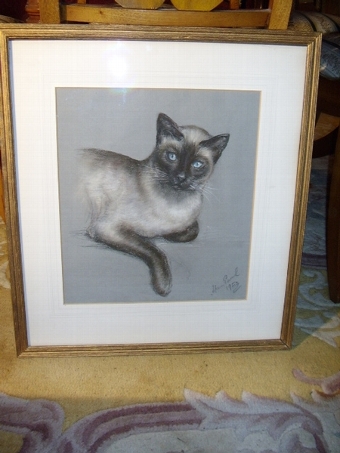 PROFESSIONAL PASTEL & GAUCH DRAWING OF A SIAMESE CAT  19 X 21 INCHES