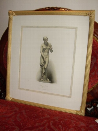 Antique ORIGINAL TONED ETCHING OF MARBLE STATUE 