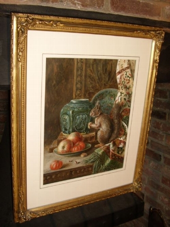 Antique VICTORIAN WATERCOLOUR OF A SQUIRREL EATING NUTS ON AN OAK TABLE NEXT TO A DISH OF APPLES & TOMATOES PRESENTED IN ORIGINAL ORNATE FRAME 25 X 20.5 INCHES UNDER GLASS 