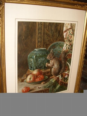 Antique VICTORIAN WATERCOLOUR OF A SQUIRREL EATING NUTS ON AN OAK TABLE NEXT TO A DISH OF APPLES & TOMATOES PRESENTED IN ORIGINAL ORNATE FRAME 25 X 20.5 INCHES UNDER GLASS 