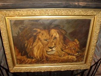 OIL PAINTING OF MALE LION WITH LIONESS RESTING IN ORIGINAL PLASTER & GILT FRAME SIZE 35 X 26 INCH...