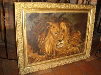 Antique OIL PAINTING OF MALE LION WITH LIONESS RESTING IN ORIGINAL PLASTER & GILT FRAME SIZE 35 X 26 INCHES C1905 & SIGNED BY ARTIST DAVID LLEWELYN