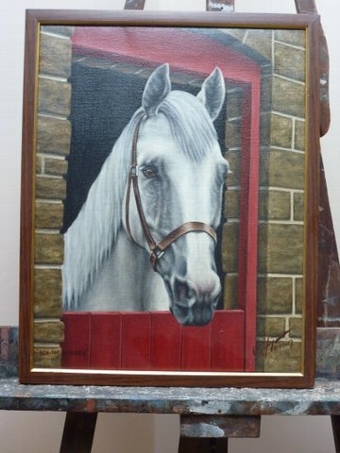 OIL PAINTING ON CANVAS OF SHOW JUMPING CHAMPION HORSE 