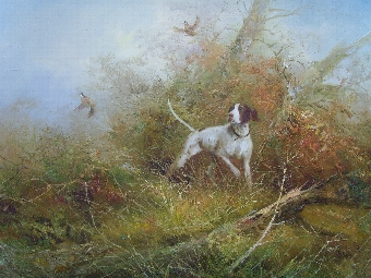 Antique SUPERB LARGE OIL PAINTING ON CANVAS OF A POINTER FLUSHING OUT PHEASANTS IN THE UNDER-GROWTH / PAINTED BY SOUGHT AFTER ARTIST FRANK JASON & PRESENTED IN THE ORIGINAL DECORATIVE GILT SWEPT FRAME / SIZE 40 X 28 INCHES