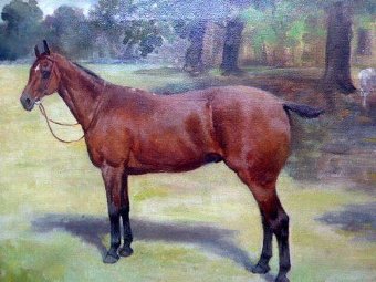 Antique Horse Oil Painting Dated c1904 in Beautiful Frame 
