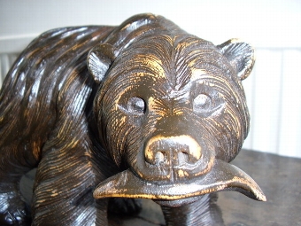 Antique BLACK FOREST CARVED BEAR C1900-20