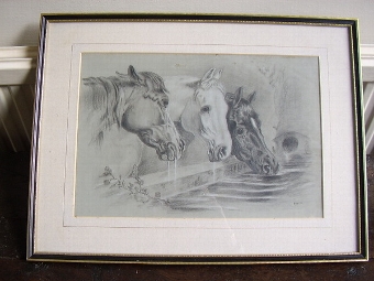 PROFESSIONAL PENCIL DRAWING OF THREE HORSES DRINKING AT TROUGH SIGNED P.STAFFORD