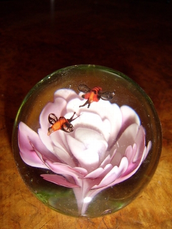 Antique GLASS PAPERWEIGHT WITH PINK ROSE & TWO INSECTS INSIDE 