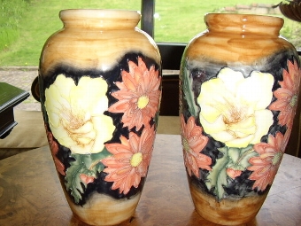Antique PAIR OF FLORIAN WARE VASES WITH ENAMELLED FINISH