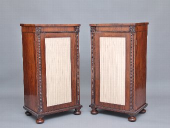 Pair of early 19th Century rosewood pedestal cabinets