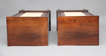 Antique Pair of early 19th Century rosewood pedestal cabinets