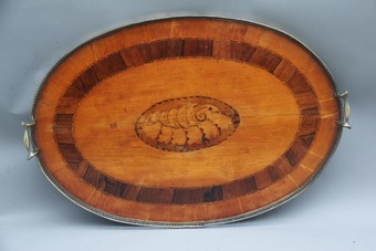 Antique 19th Century satinwood, brass and inlaid tray