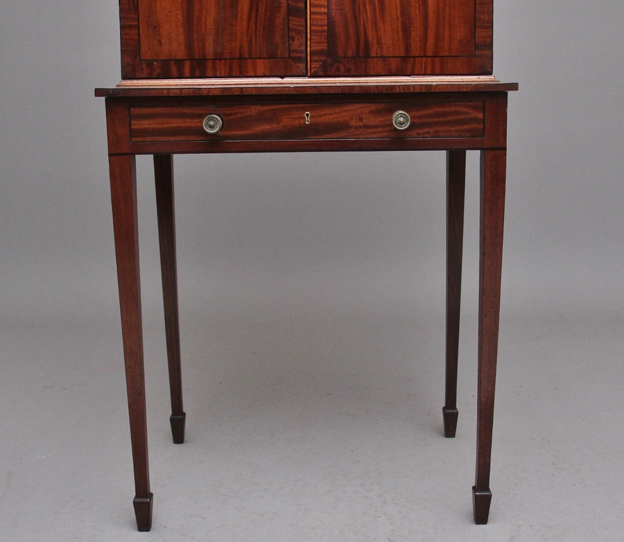 Antique 19th Century mahogany collectors cabinet
