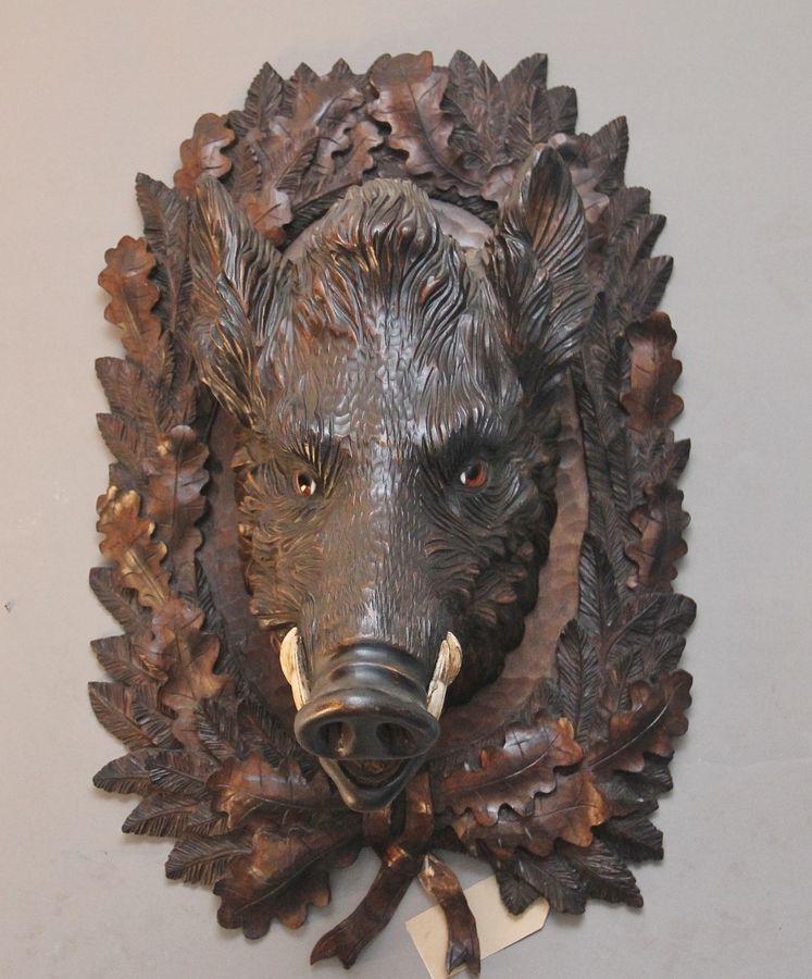 Antique Early 20th Century black forest wild boars head