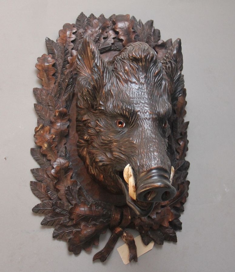 Antique Early 20th Century black forest wild boars head