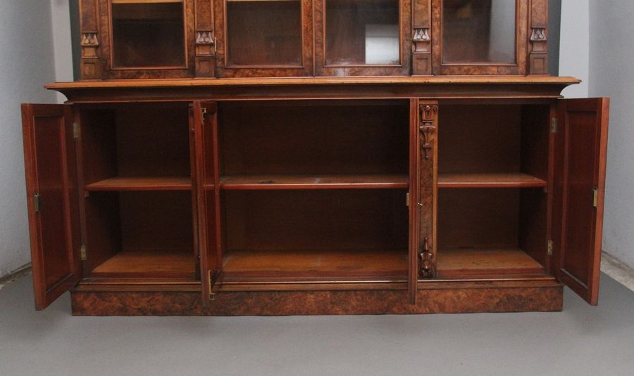 Antique Fabulous quality 19th Century burr walnut bookcase