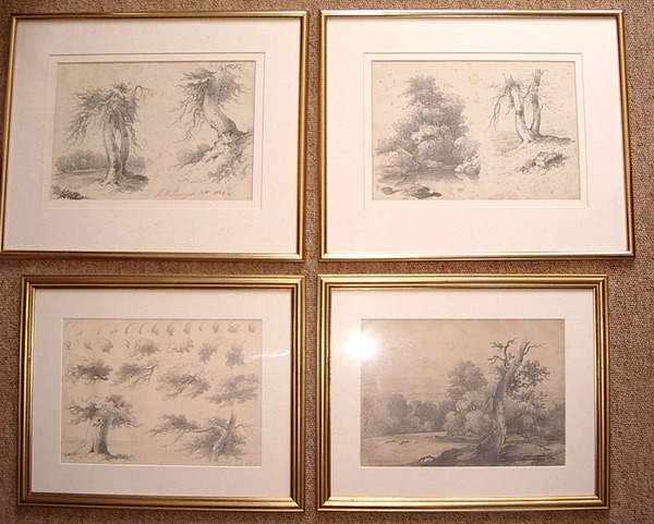 H.W Burgess (fl1809-1844) Suite of 4 Tree studies C1835 pencil on paper