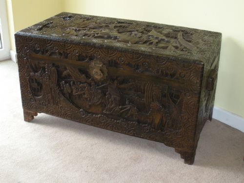 Camphor Trunk 