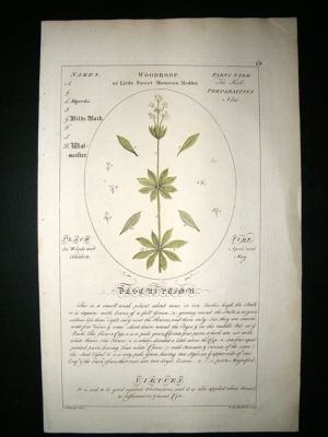 Sheldrake: 1759 Medical Botany. Woodroof. Hand Col