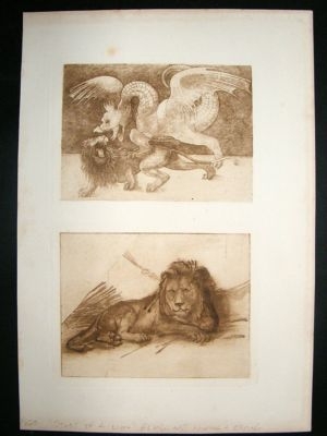 Rembrandt mixed method plate, 1880, 'Study of a Lion'