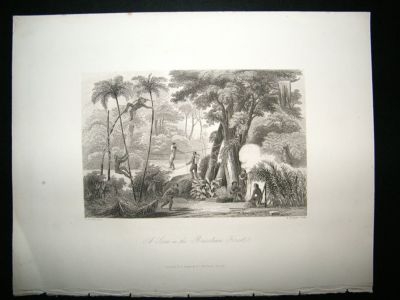 Brazil: 1847 Steel Engraving, Brazilian Forest Scene, Antique Print