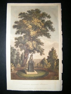 Italy: 1815 Hand Coloured Print. Theodore Koerner's Mon
