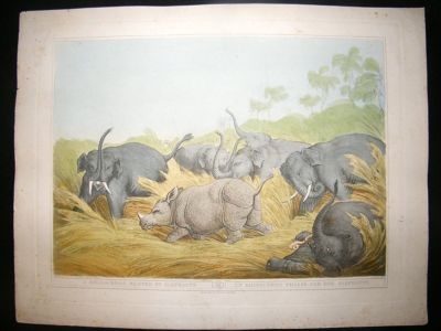 Howitt Oriental Field Sports 1819 Rhinoceros Hunted by